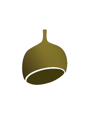 Download free food acorn icon
